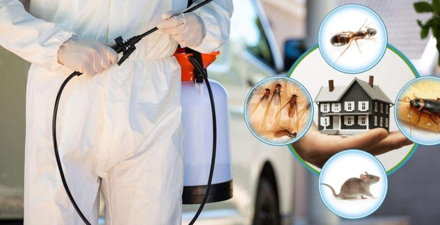 Aziziye Böcek İlaçlama