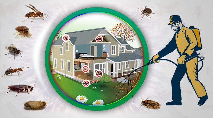 Aziziye Böcek İlaçlama