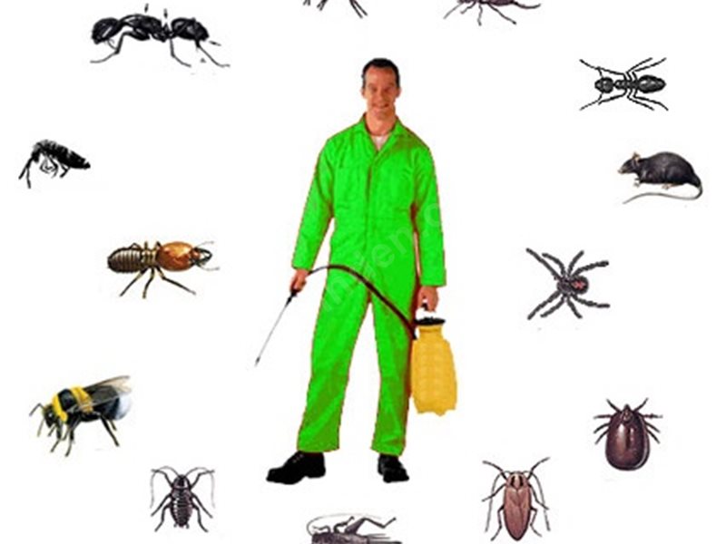 Aziziye Böcek İlaçlama